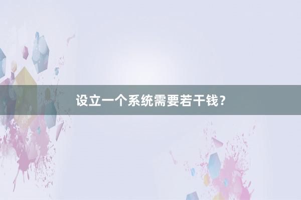 设立一个系统需要若干钱?