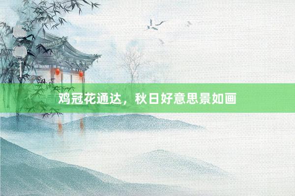 鸡冠花通达,秋日好意思景如画